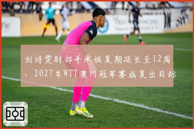 刘诗雯肘部手术恢复期延长至12周，2027年WTT澳门冠军赛成复出目标