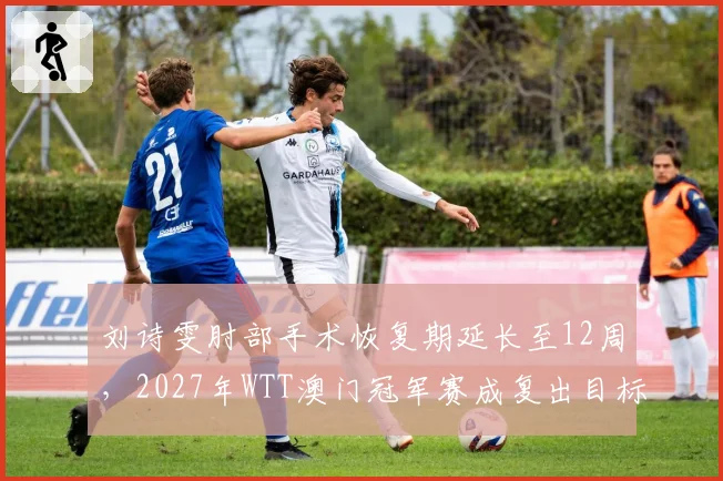 刘诗雯肘部手术恢复期延长至12周，2027年WTT澳门冠军赛成复出目标